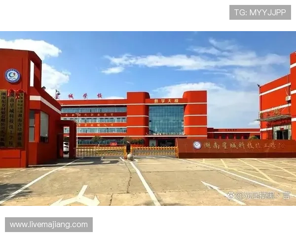 星城的教育资源：优质高校与科研机构推动城市人才发展