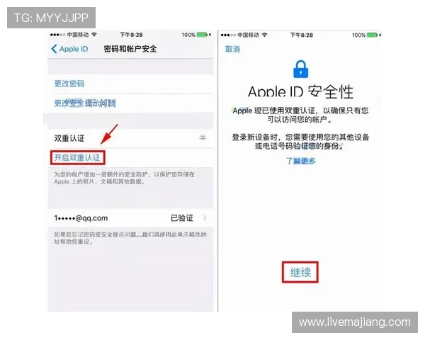 欧博体育app登录入口安全登录技巧,保护个人信息不被泄露